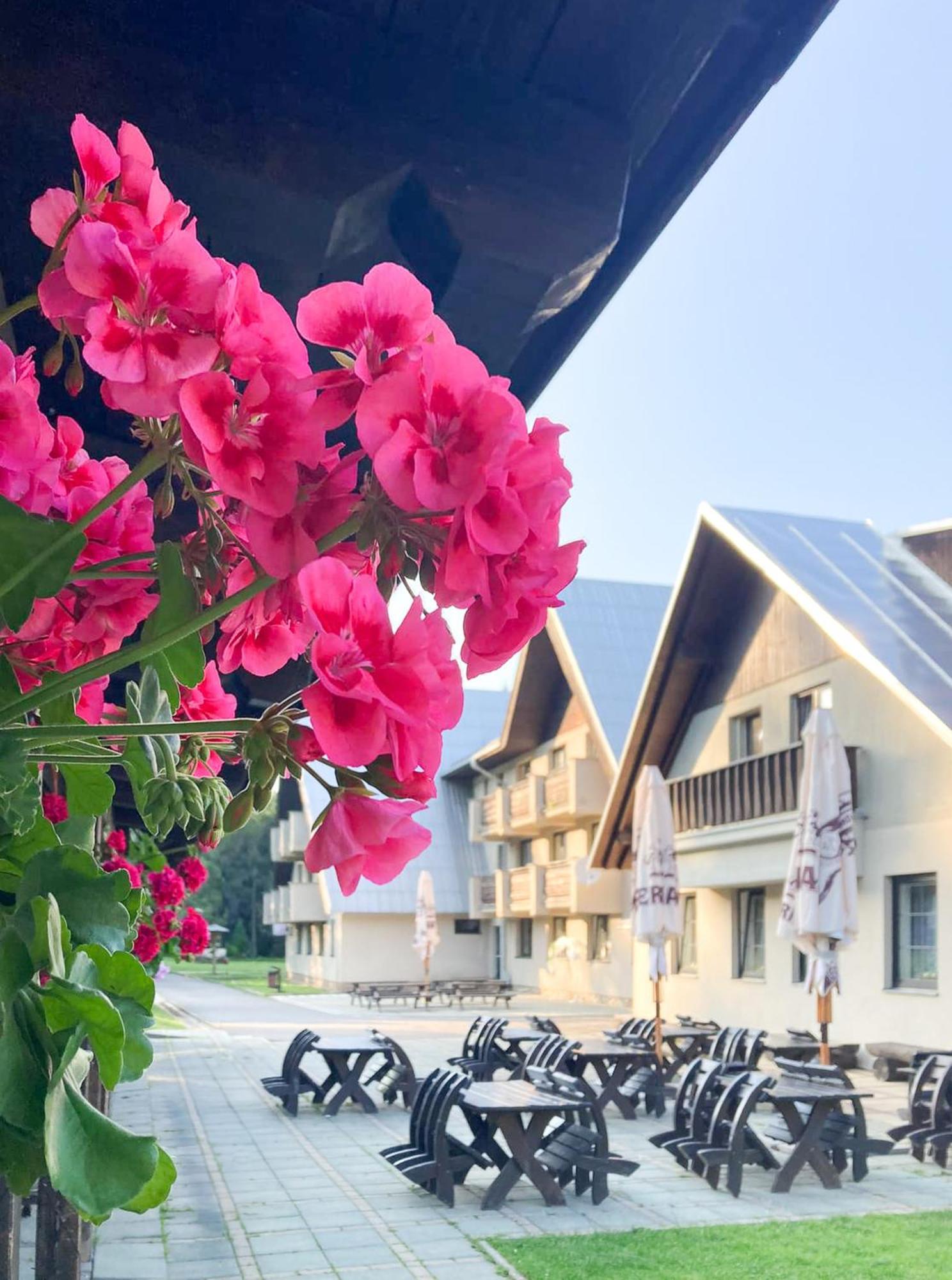Hotel Hornik Zďar nad Sazavou Bagian luar foto